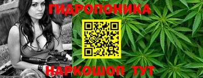 бошки Пенза