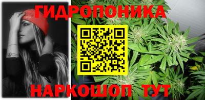 бошки Пенза