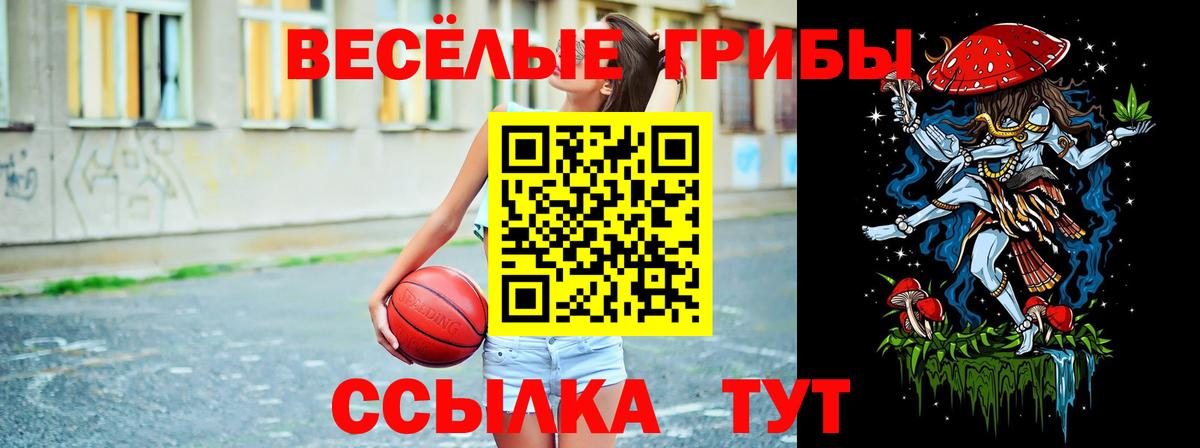 Галлюциногенные грибы Psilocybine cubensis  Вход с VPN  Обь 