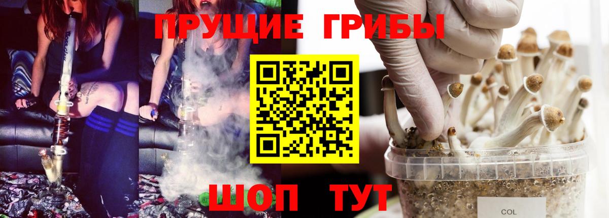 Псилоцибиновые грибы мухоморы Обь