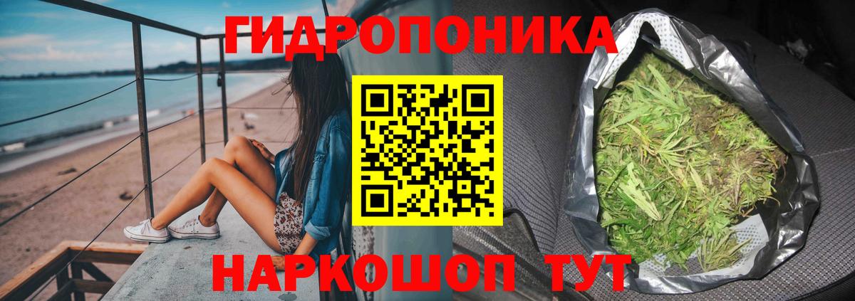 Конопля конопля  Конопля Bruce Banner  Марихуана SATIVA & INDICA  Вход с VPN  Обь  Бошки Шишки индика 